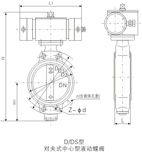 D/DS型液動對夾式中線青銅蝶閥基本尺寸