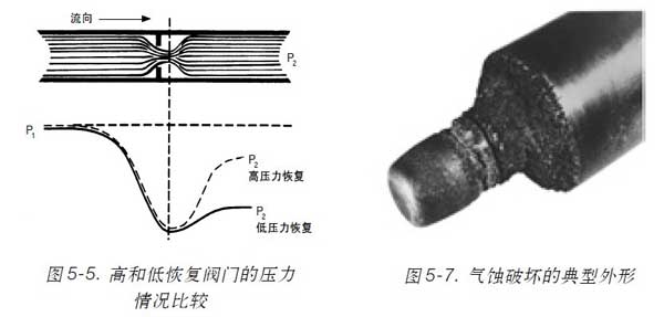 �{��(ji��)�y���g�Ɖĵĵ�������