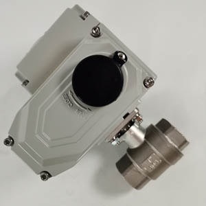 Q911F-16P 늄(dng)yP304 Aߜؽz