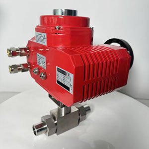 P늄{y ߾СڏС ߉ܷ{y